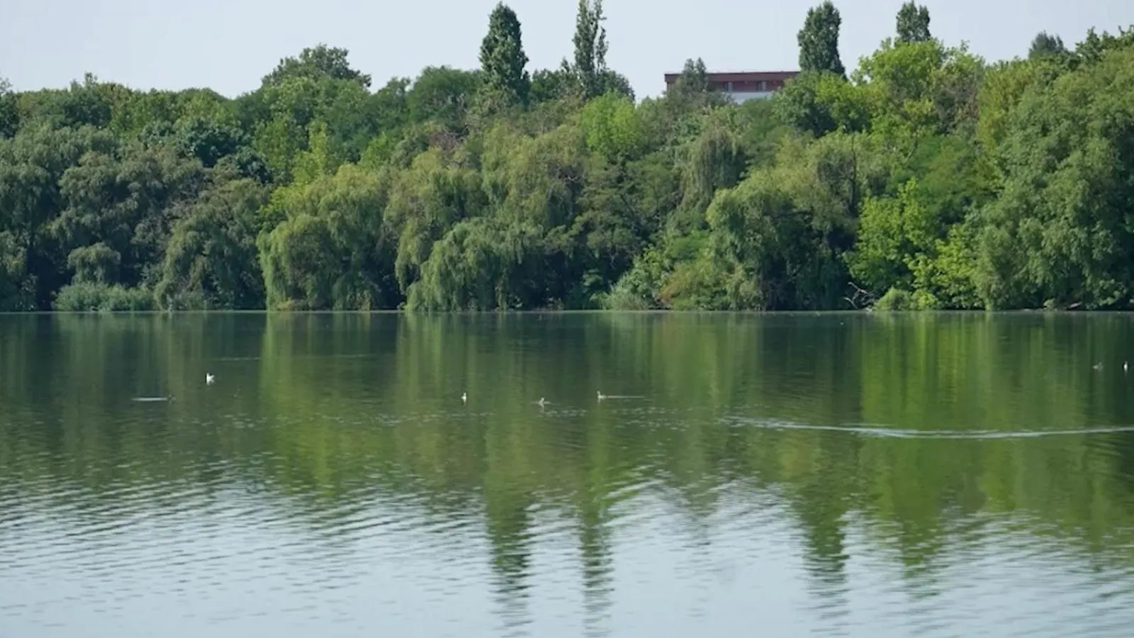 Penthouse Lebada Lake View Bucharest Apartment